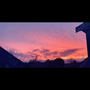 Meet your Posher, Daisy